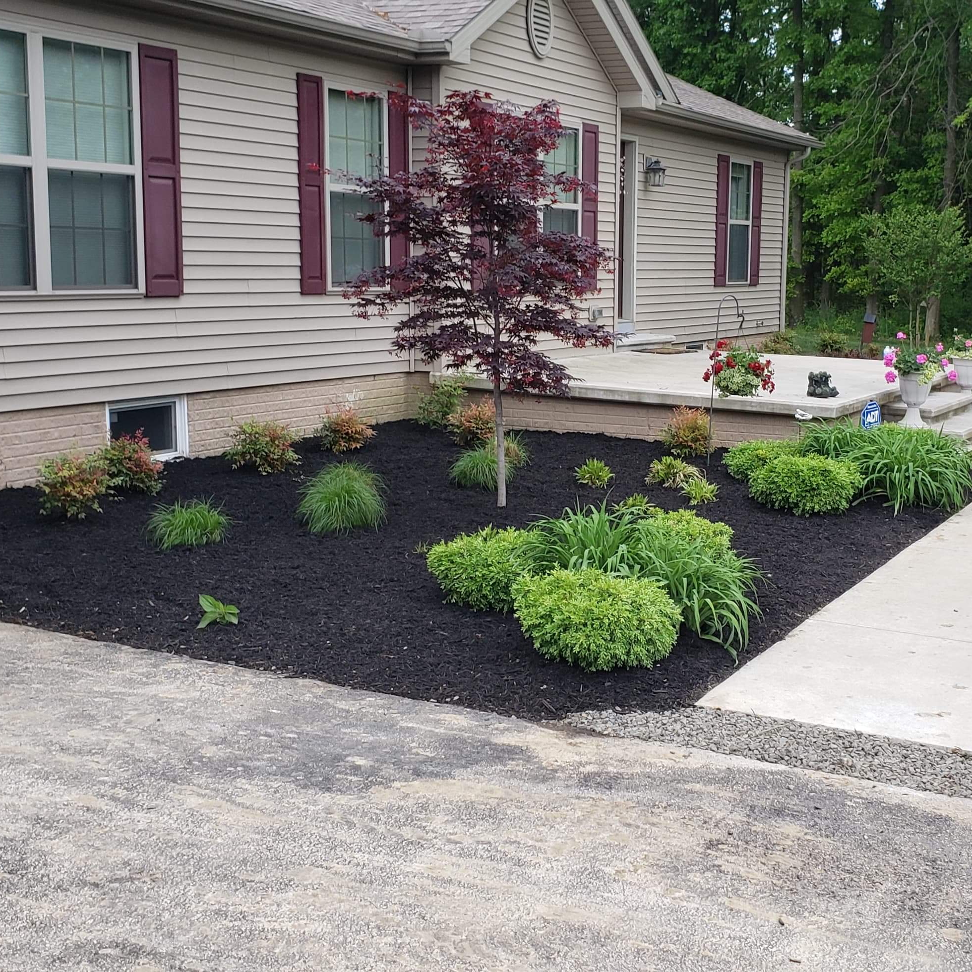 Avatar for Alpha & Omega Landscaping