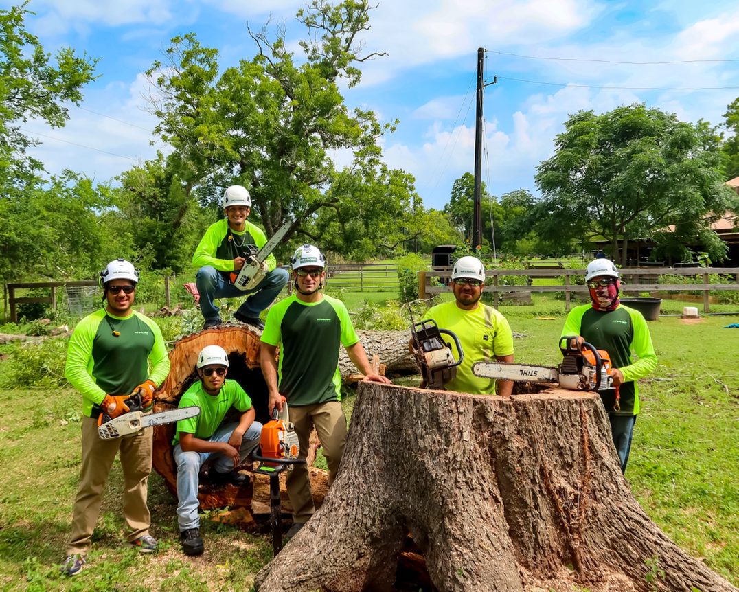 Meadows Tree Service logo