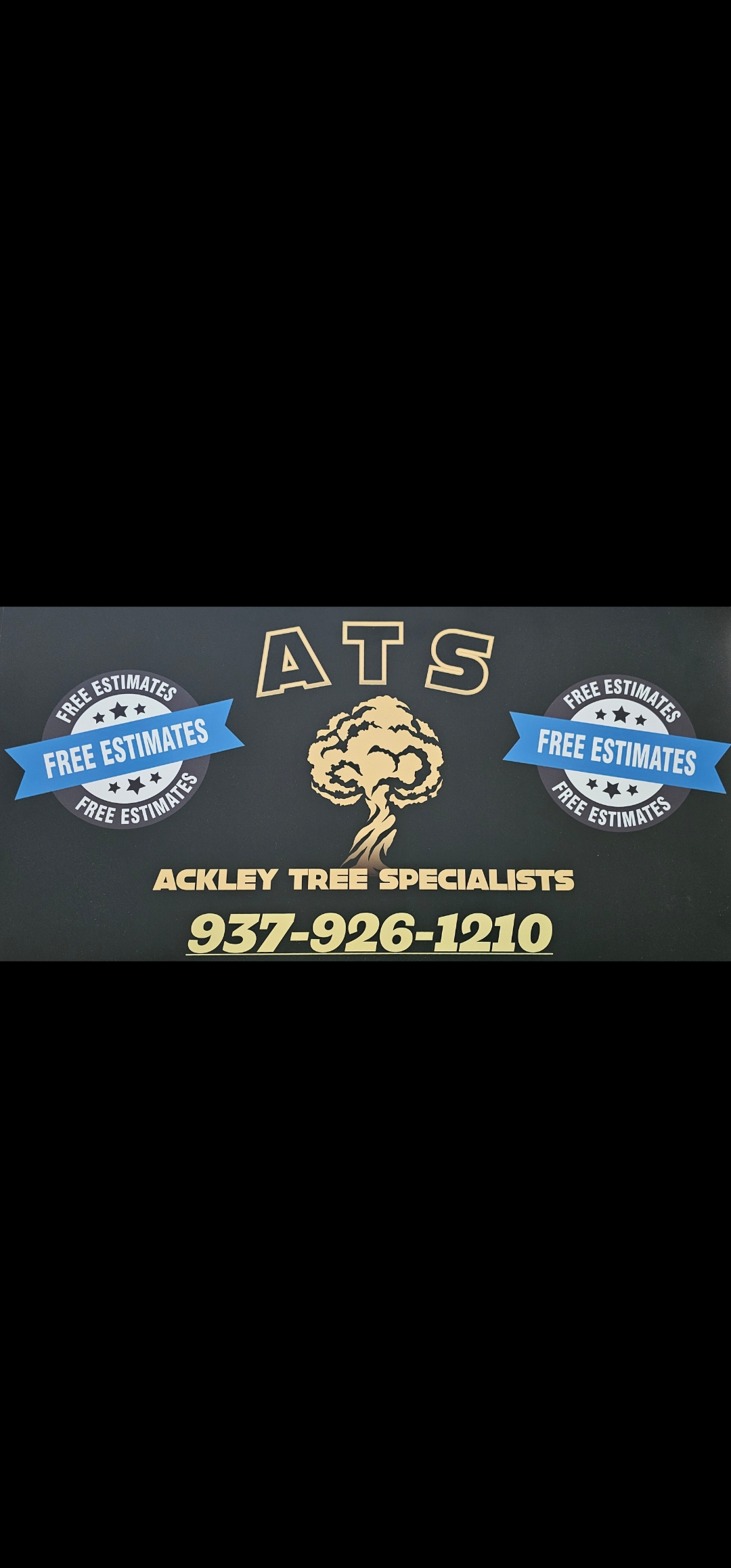 Logo for Arbor Plus Tree Experts