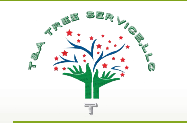 Avatar for T and A tree service LLC