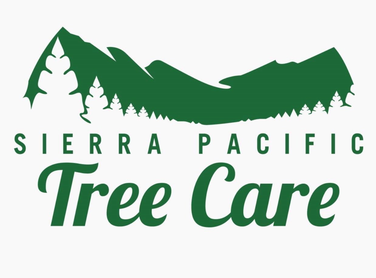 Logo for SIERRA PACIFIC TREE CARE INC