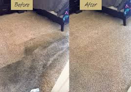 Logo for Carpet Beautifier