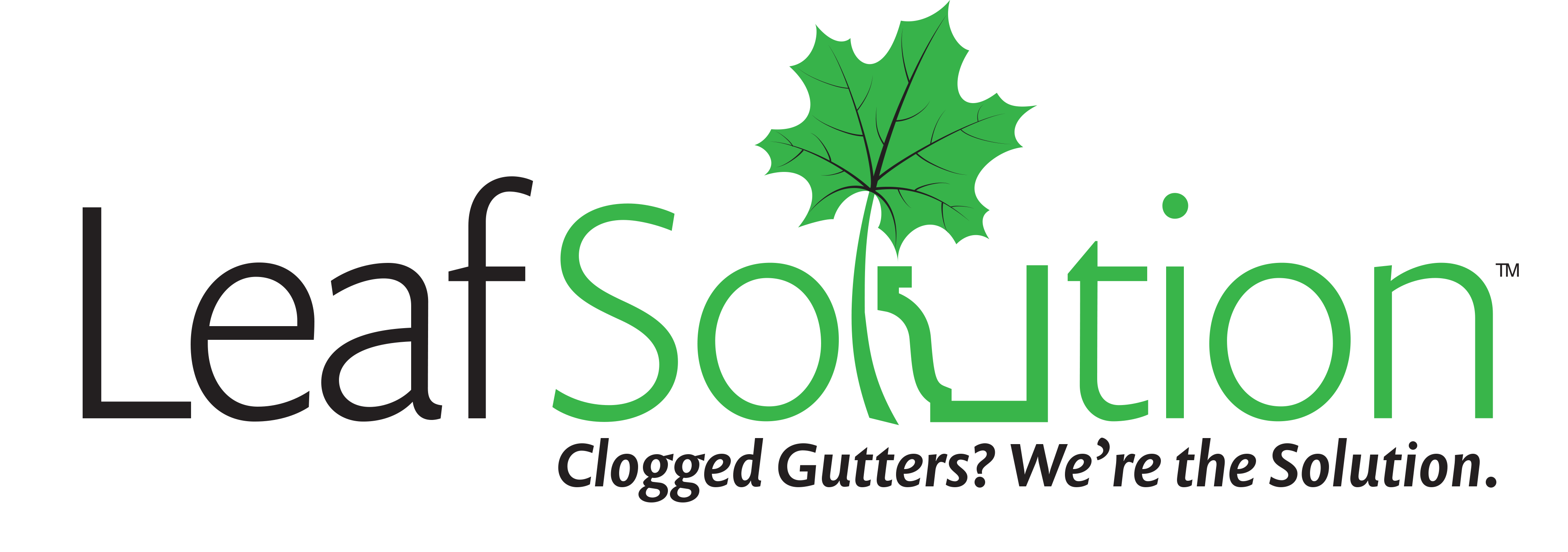 Avatar for HelloGutters.com