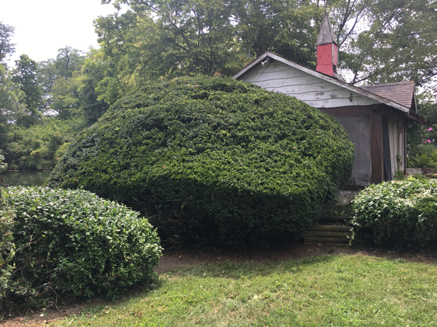 Avatar for Pristine Lawn and Landscape
