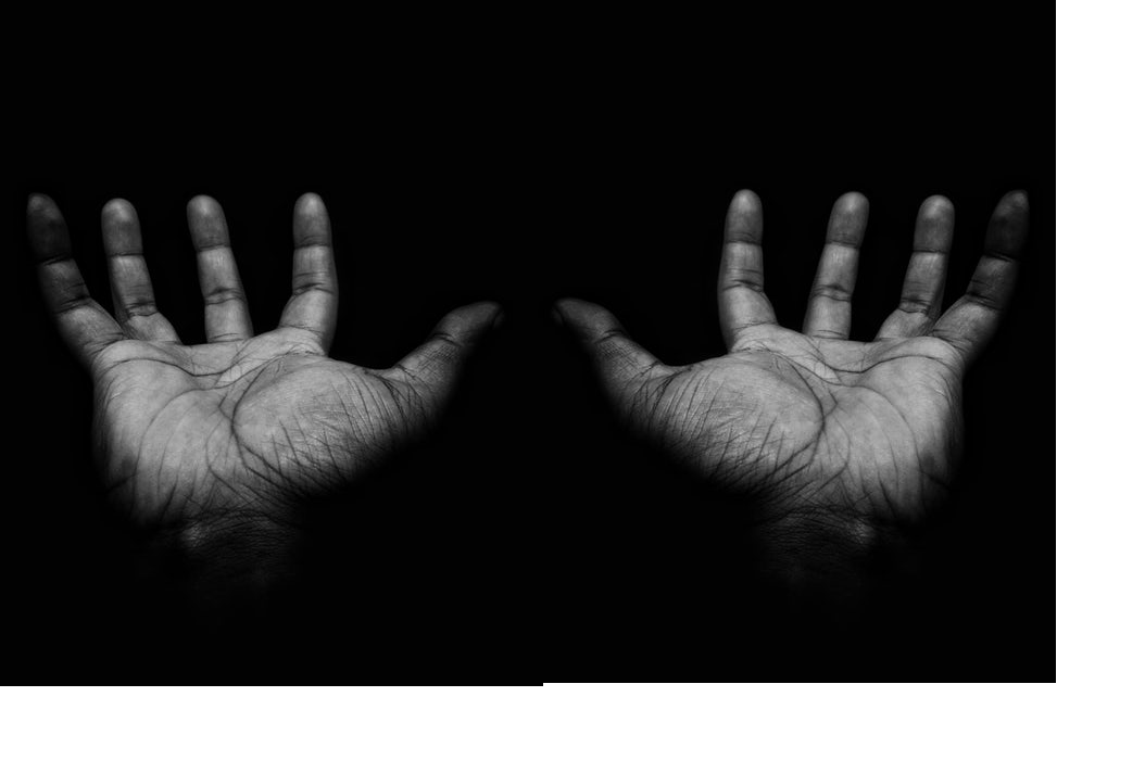 Hands to Hold logo