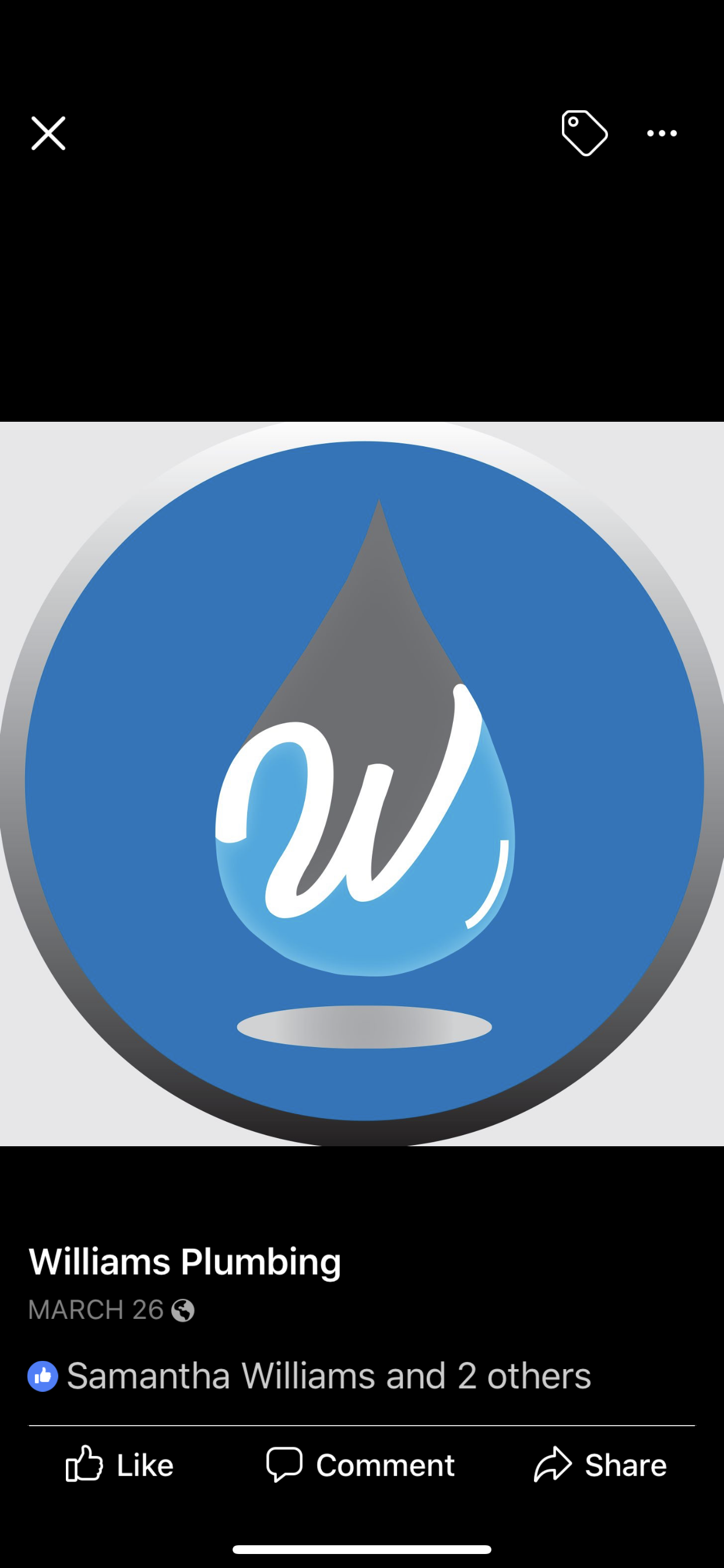 Logo for Williams Plumbing