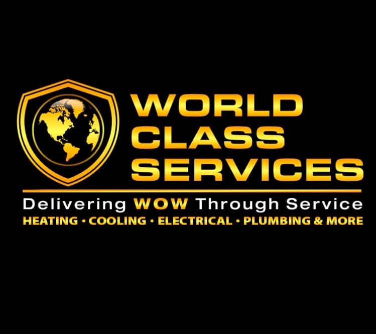 World Class Services logo