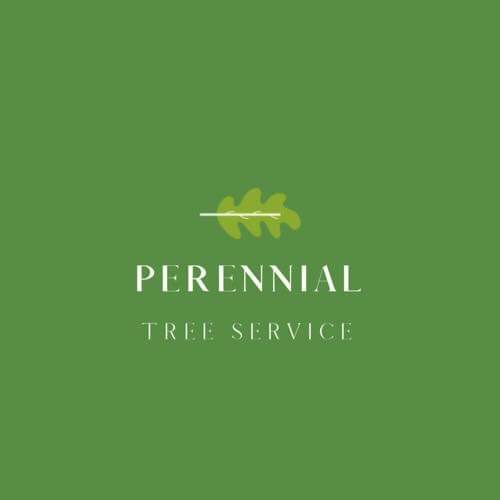 Avatar for Perennial Tree Service