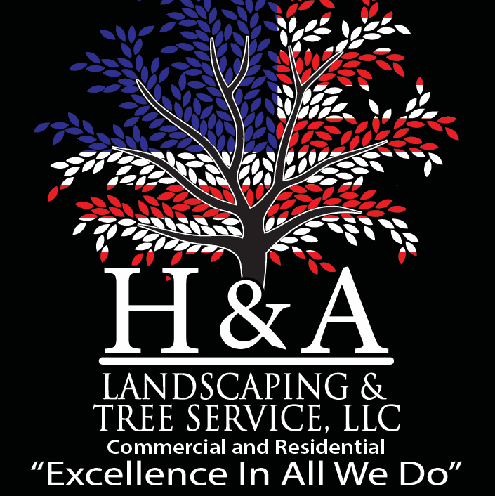 H & A Landscaping And Tree Service LLC logo