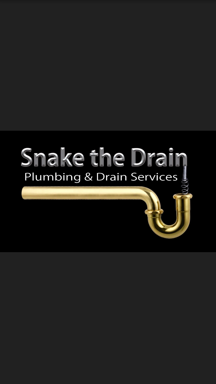 Snake The Drain logo