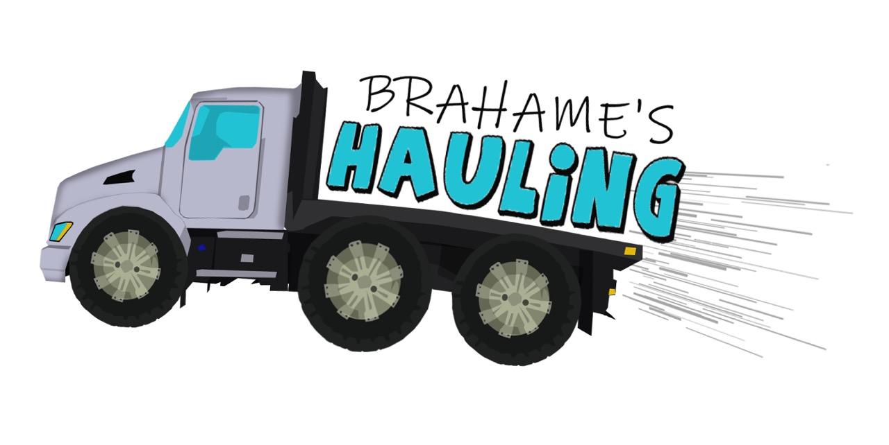 Avatar for Brahame Hauling