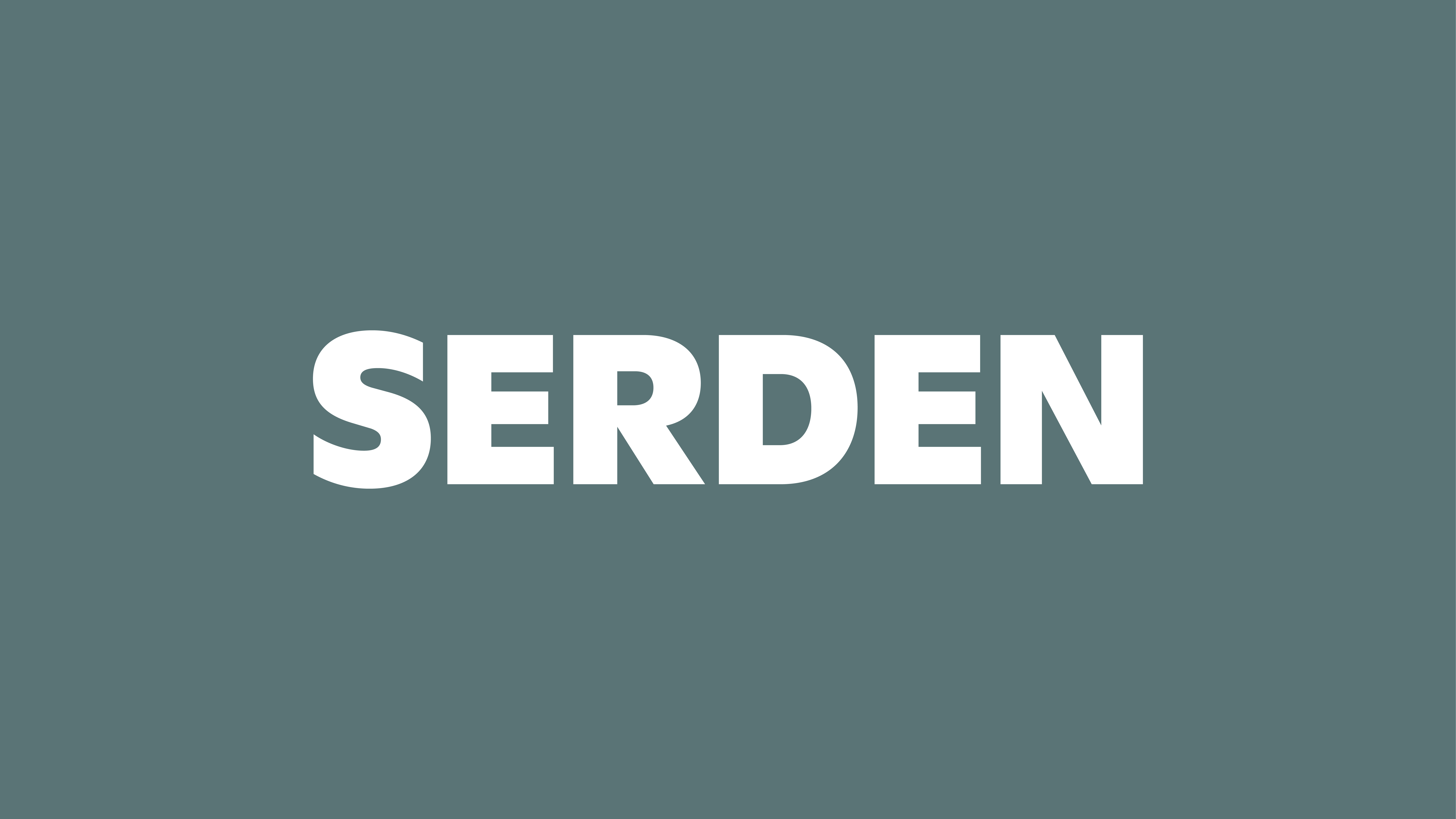 Serden Group, LLC logo