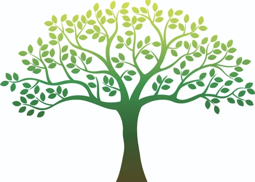 H&M Tree Service LLC logo