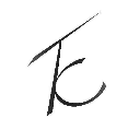 Timothy Curtis Designs logo