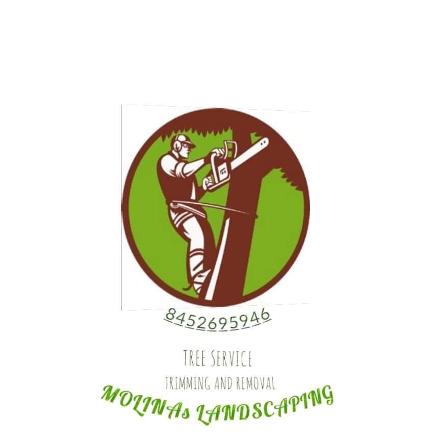 Molina's Landscaping & Tree Service logo
