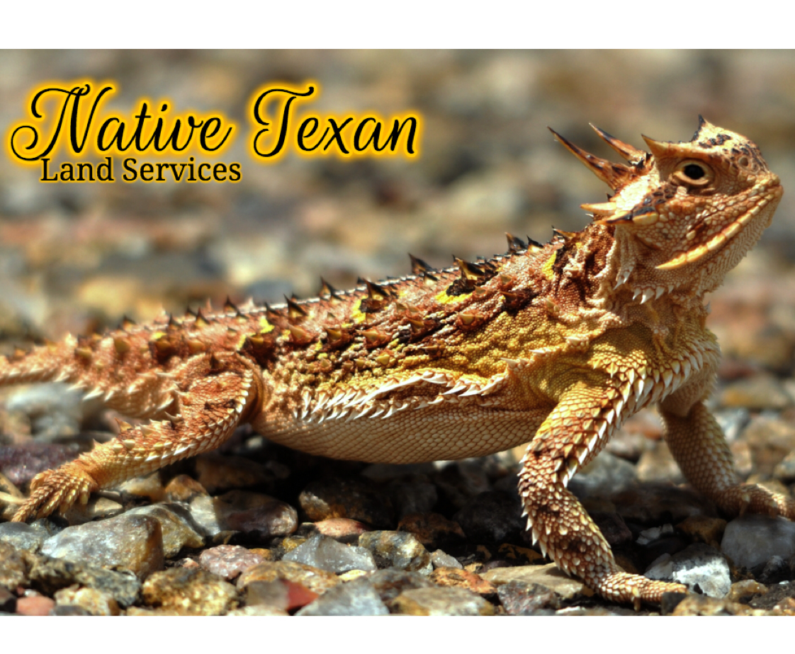 Avatar for Native Texan Land Services, LLC