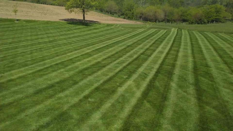 Avatar for American Dream Landscaping