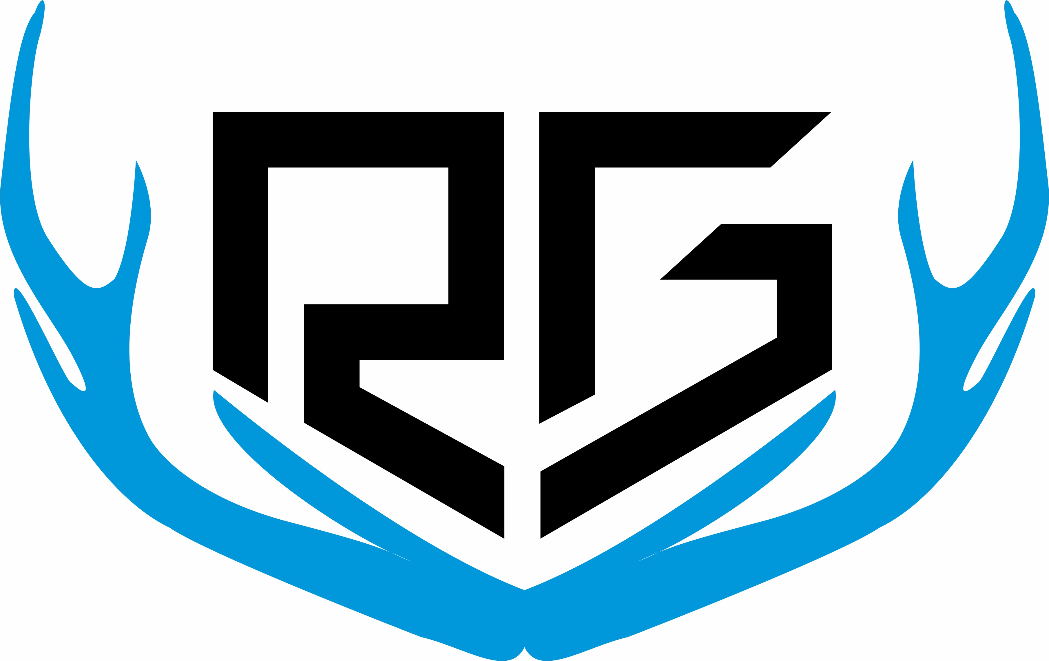 Right Guys Framing logo