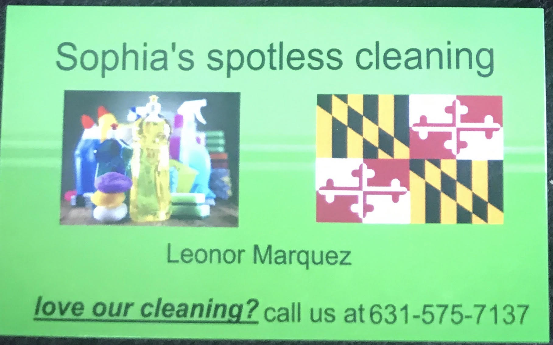 Sophias spotless cleaning logo