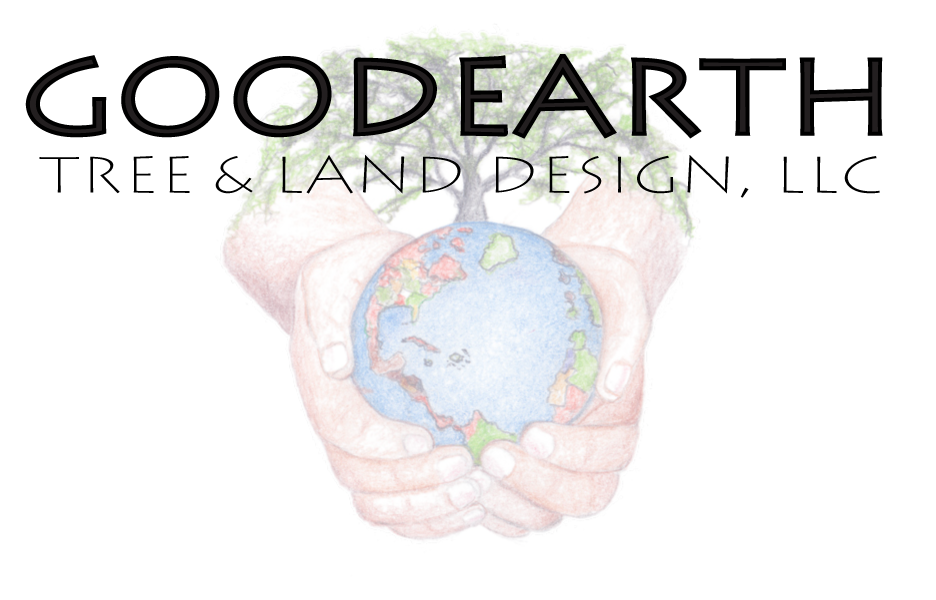 Avatar for Goodearth Tree & Land Design LLC
