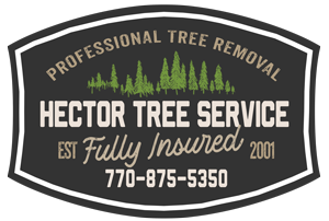Avatar for Hector Tree Service