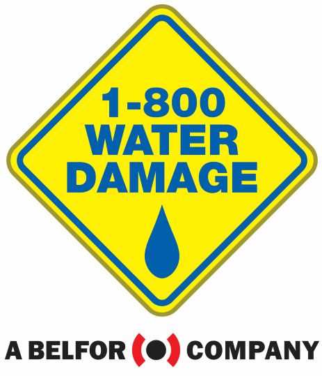 1-800 Water Damage logo