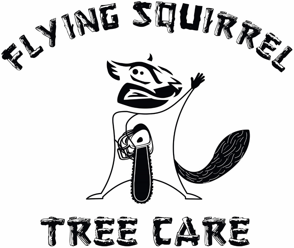 Avatar for Flying Squirrel Tree Care, Inc.
