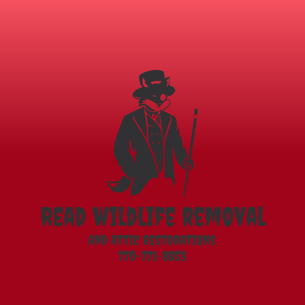 Avatar for Read Wildlife Removal