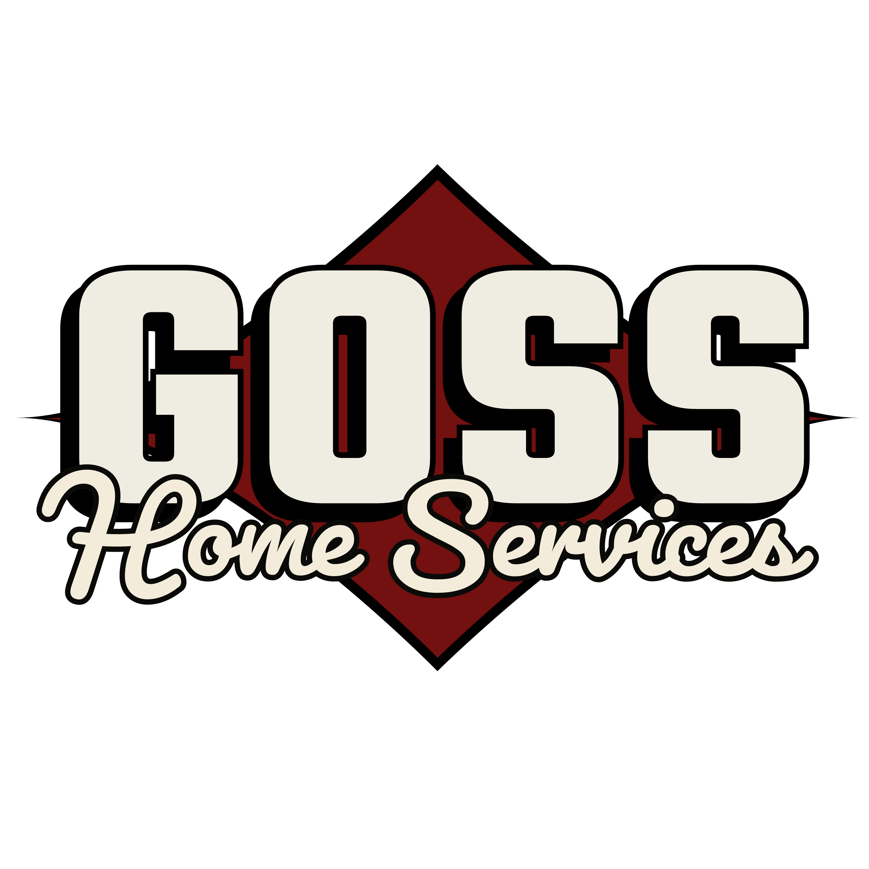 DG SERVICES logo