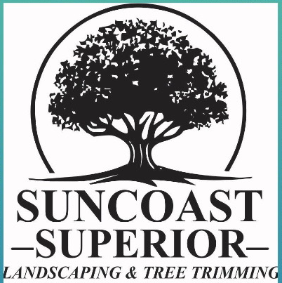 Avatar for Suncoast Superior