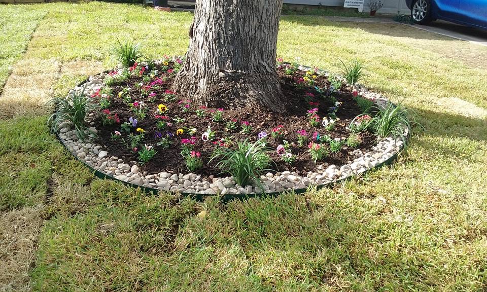 Avatar for Genesis Landscaping