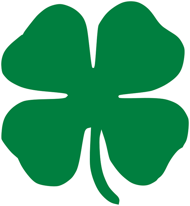 Avatar for Shamrock Floors and Roofing