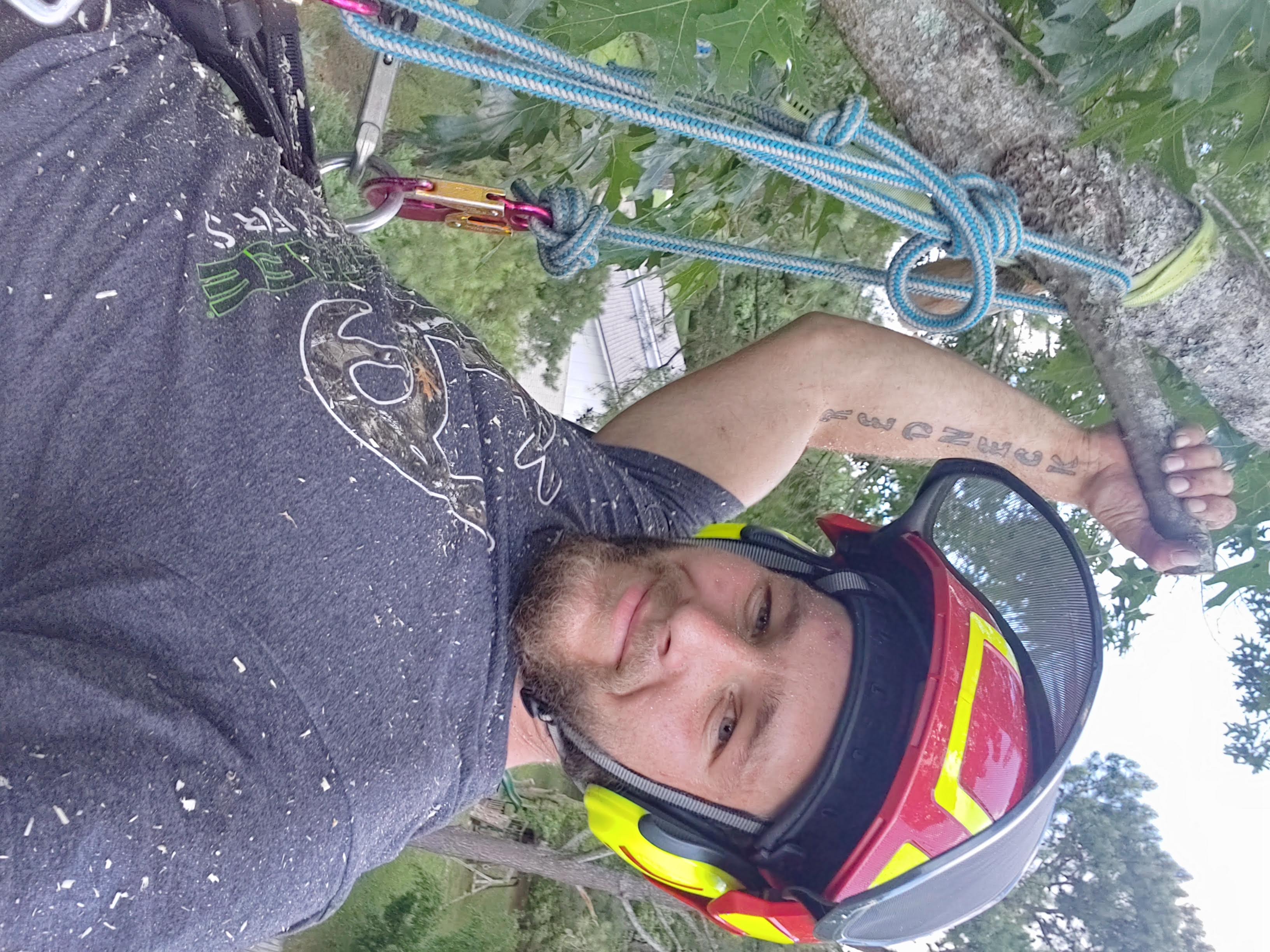 Avatar for Caldwell tree service
