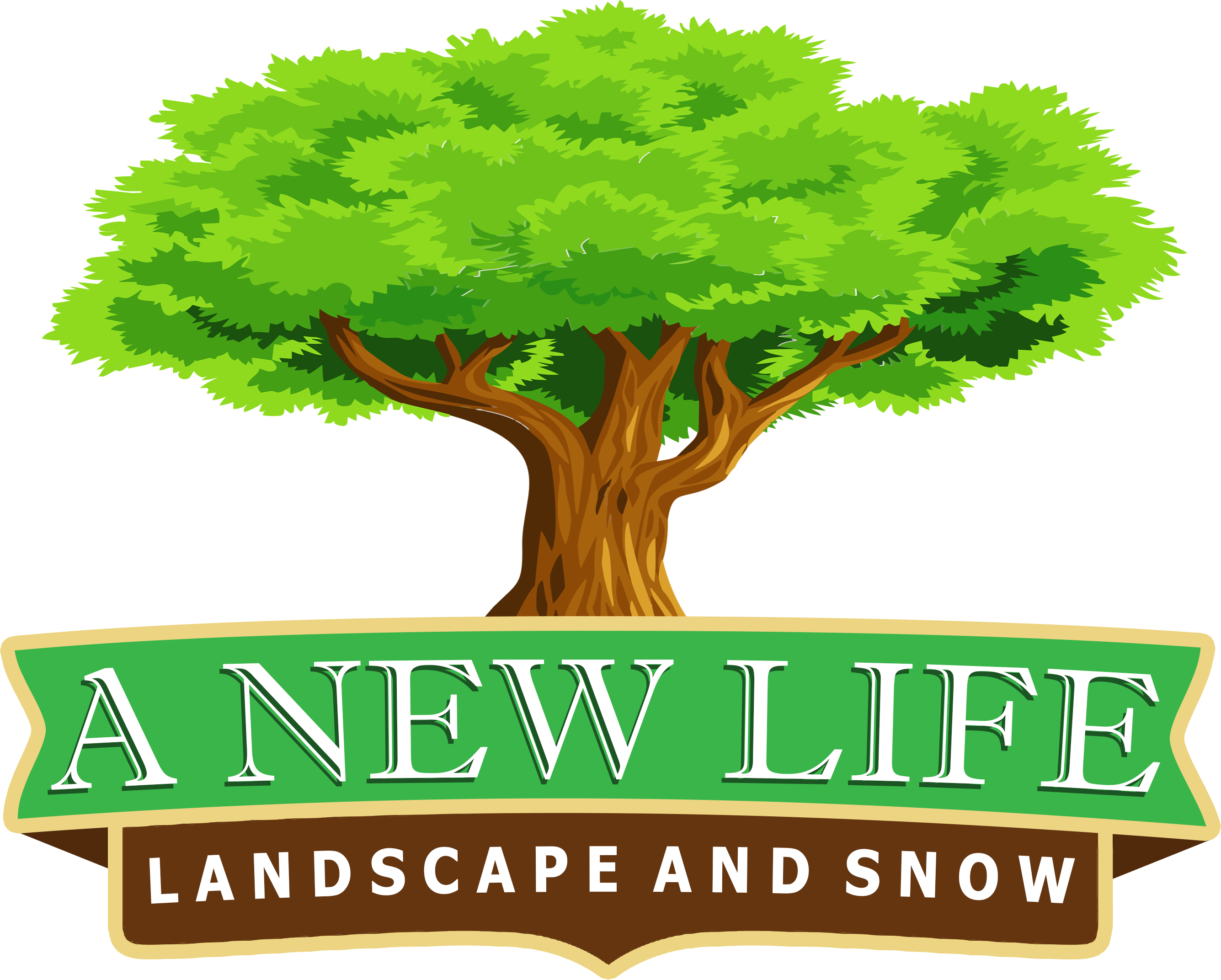 Avatar for A New Life Landscape and Snow