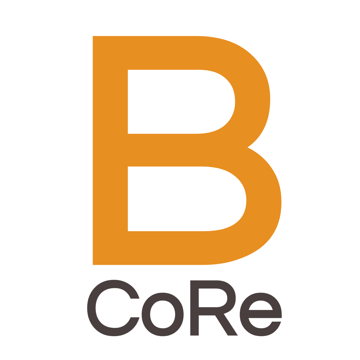 Brauner Construction & Realty logo