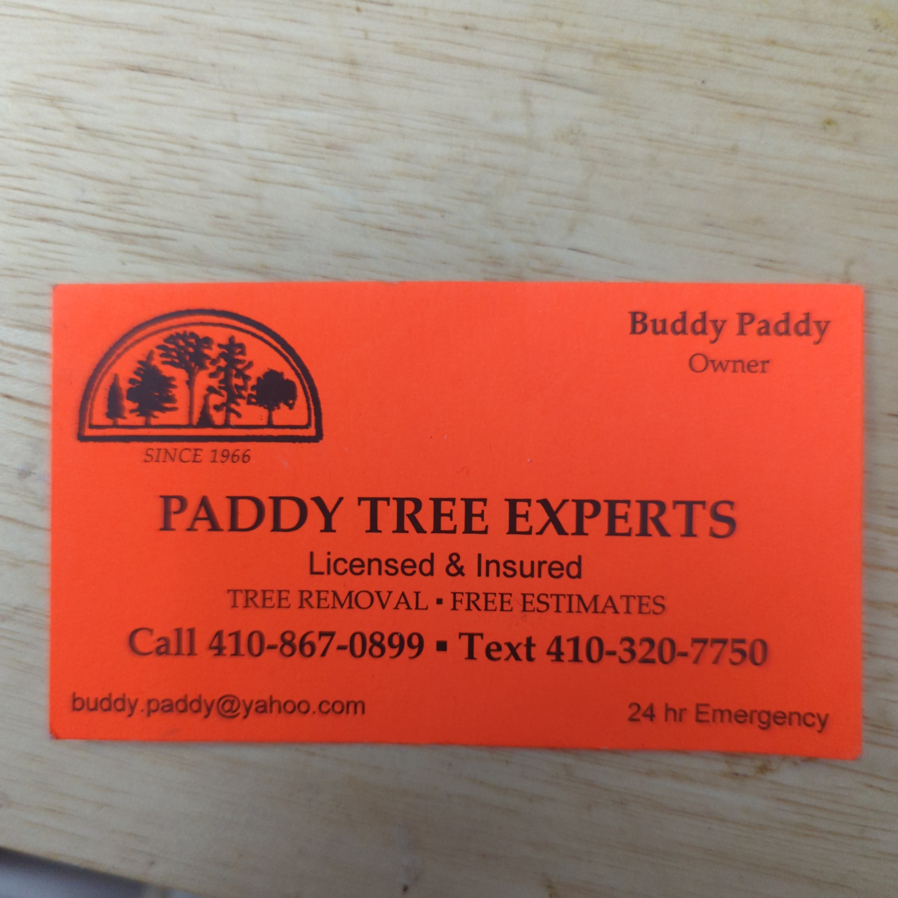 Paddy Tree Experts logo