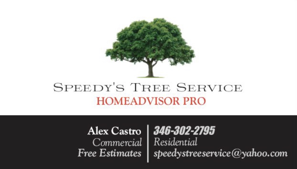 Logo for Speedy's Tree Service