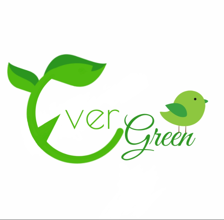 Evergreen Carpet & Upholstery Cleaning logo