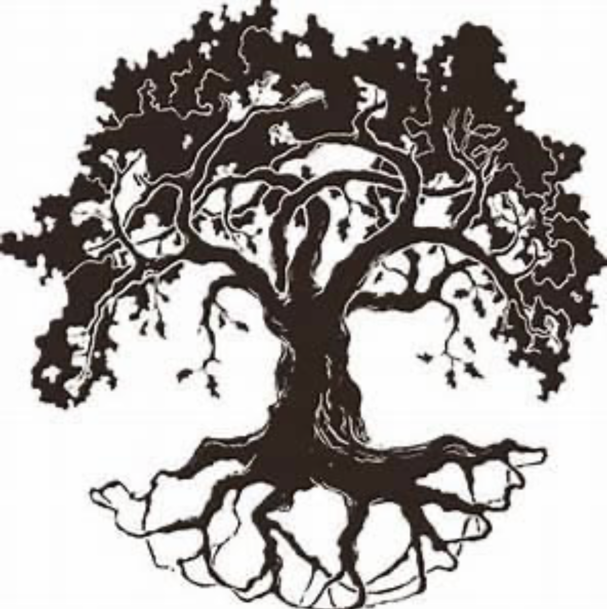 Logo for BlackTreeDetroit