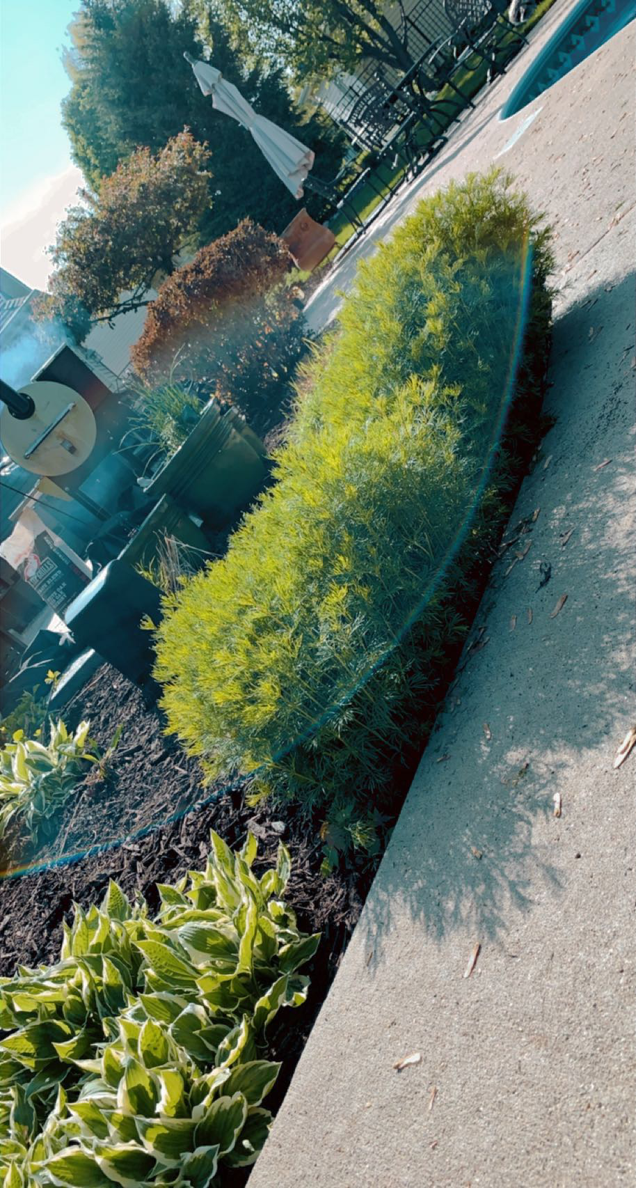 Avatar for Eaton river rock and mulching