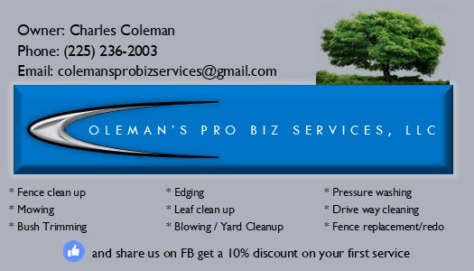 Avatar for Coleman pro biz service