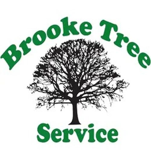 Logo for Brooke Tree Service