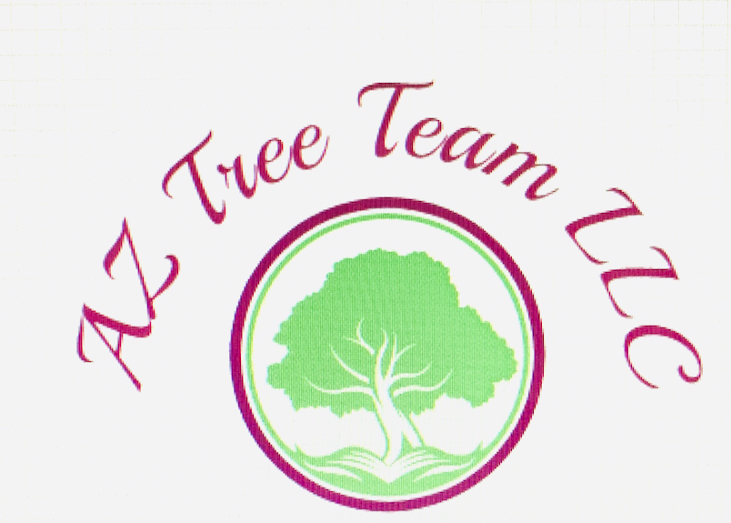 Logo for Tree Guys tree service