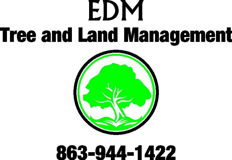 EDM Tree Service, LLC logo