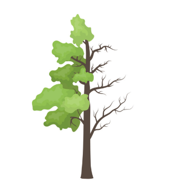 Avatar for GREEN AND DRY