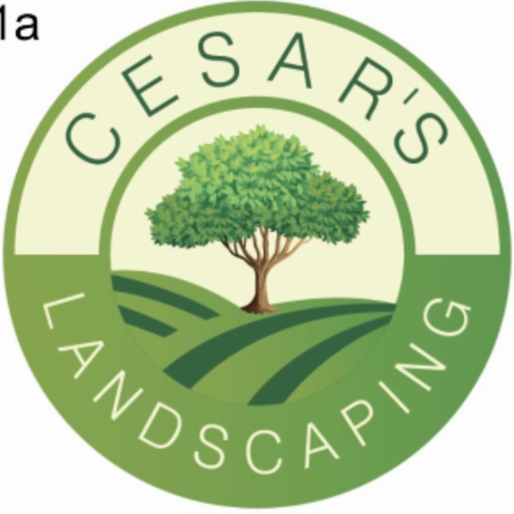 Avatar for Cesars Landscaping
