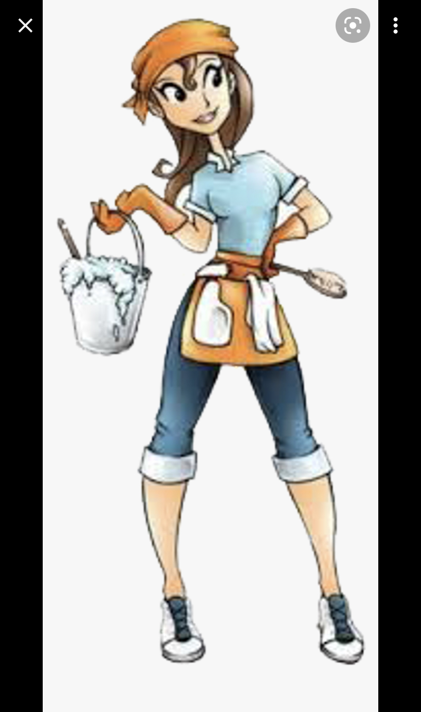 Logo for Chicagoland Maids