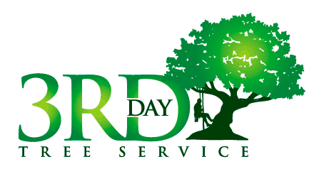 3rd Day Tree Service, LLC logo
