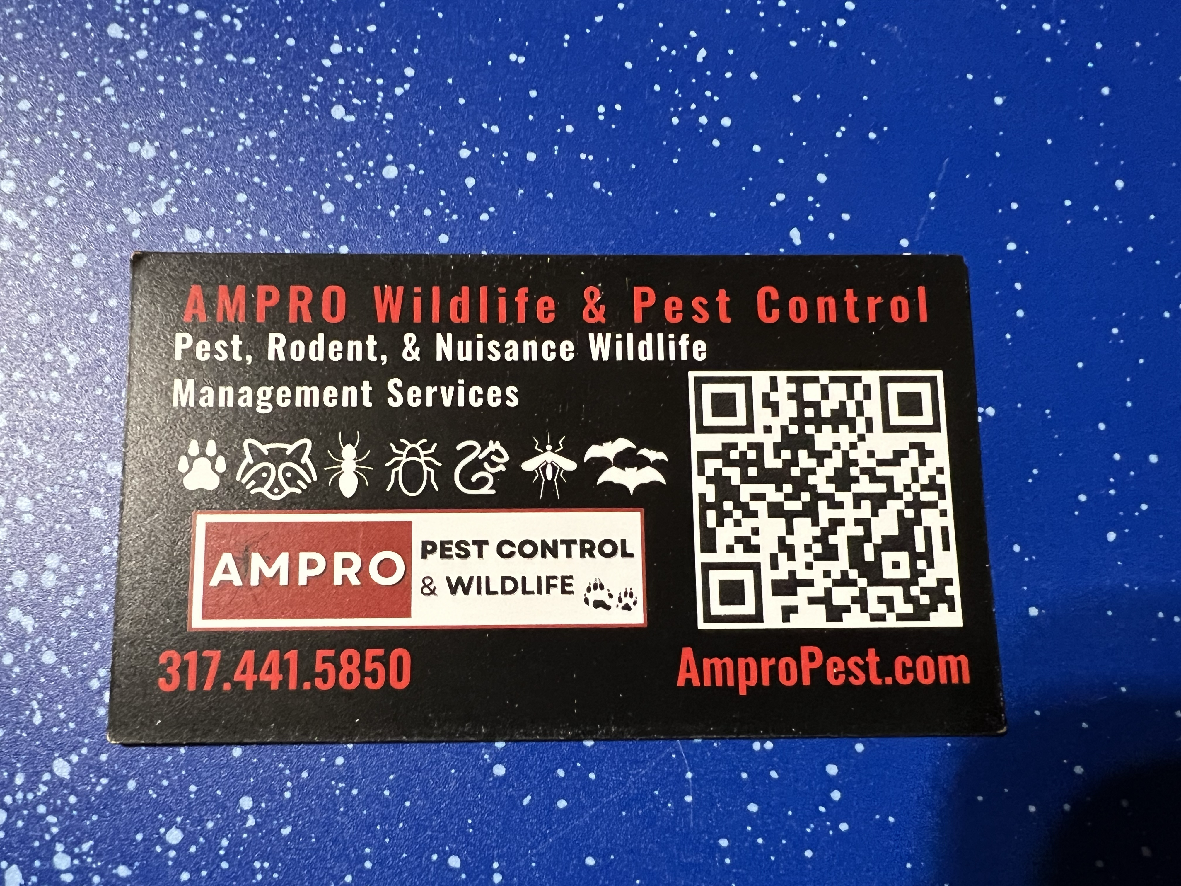 Logo for Ampro Pest Control