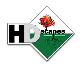 HDScapes logo